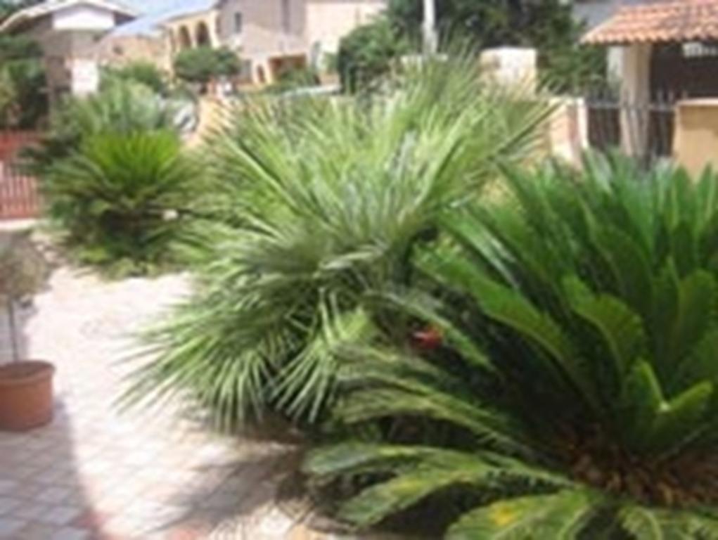 B&B Villa Olimpo Le Torri อากริเจนโต ภายนอก รูปภาพ